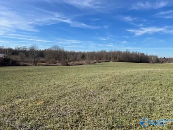 Joppa, AL 35087,12 Acres Hulaco Road