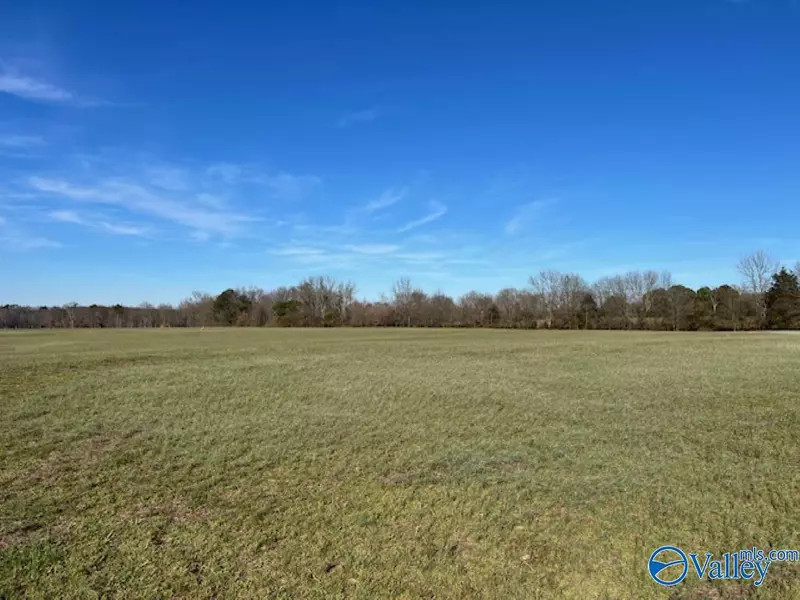 12 Acres Hulaco Road, Joppa, AL 35087