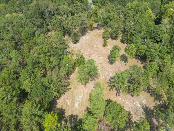 Centre, AL 35960,7 A County Road 497