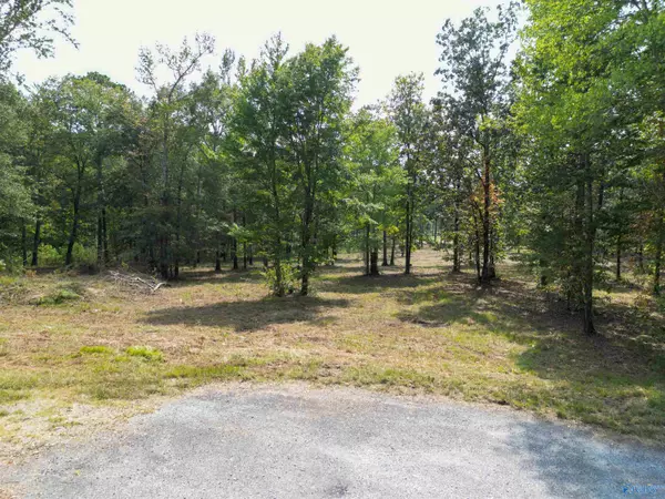 Centre, AL 35960,7 A County Road 497