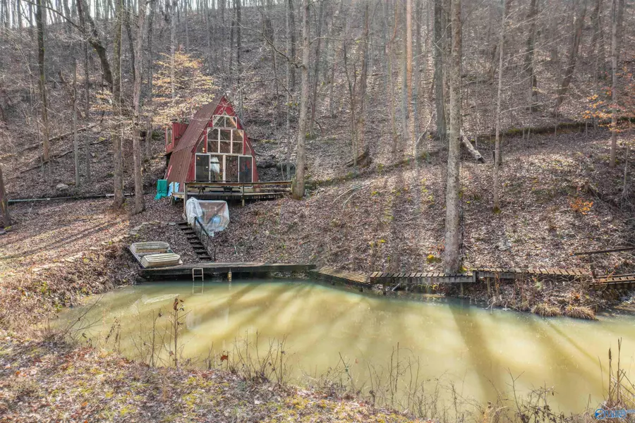 40 acres Little Wills Valley Road, Attalla, AL 35954