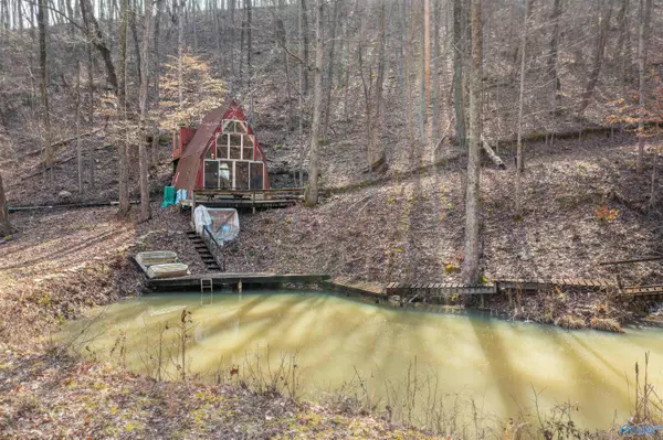 40 acres Little Wills Valley Road, Attalla, AL 35954