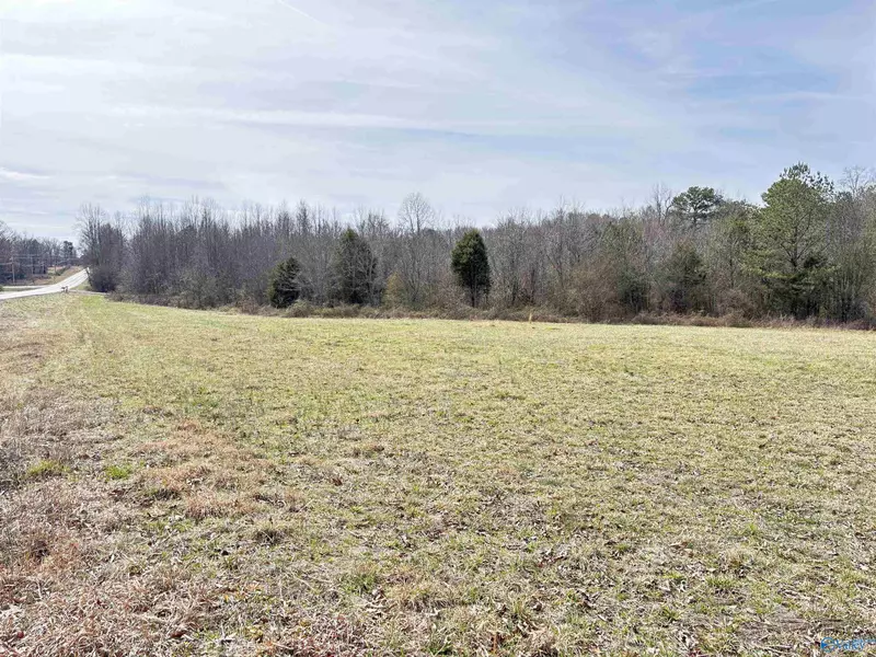 3.67 ac Hwy 75, Ider, AL 35981