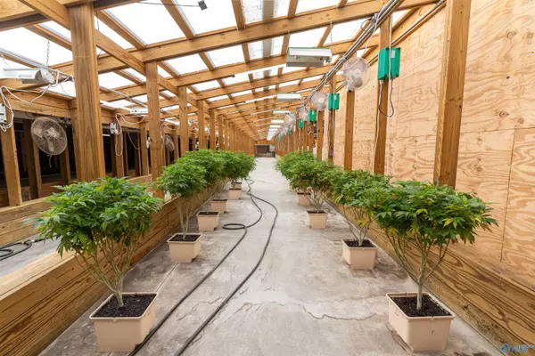 Hanceville, AL 35077,770 County Road 654