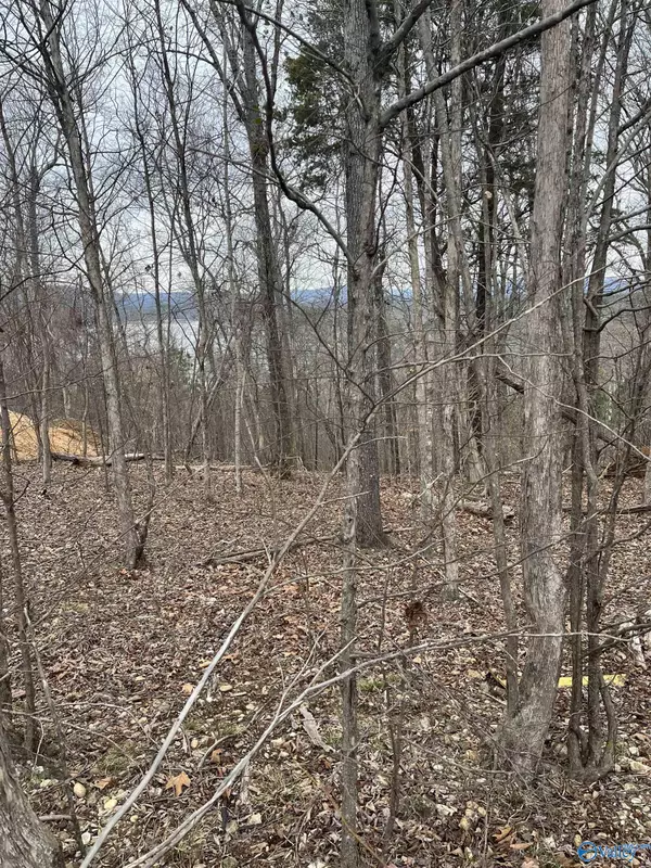 Scottsboro, AL 35769,384 Monte Sano Drive #lot 95