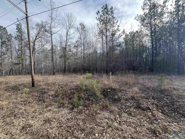 23 +/- Acres Northwood Drive, Centre, AL 35960