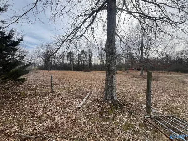 Dutton, AL 35744,3113 Alabama Highway 40