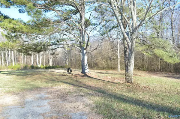 Pisgah, AL 35765,16435 Alabama Highway 71