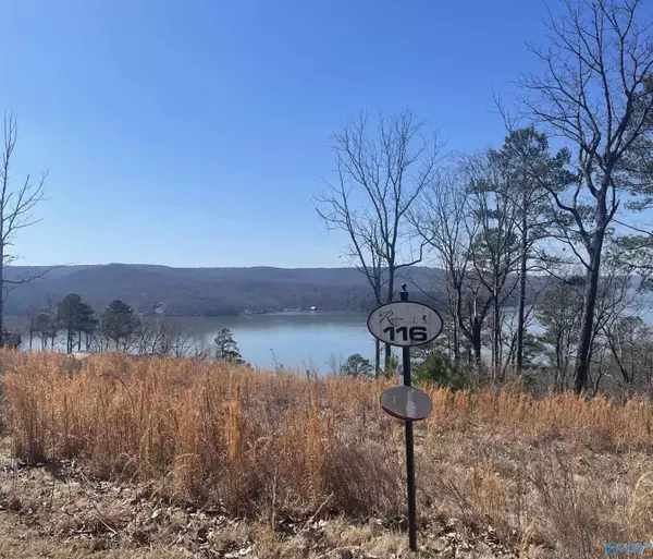 116 Boathouse Drive, Guntersville, AL 35976