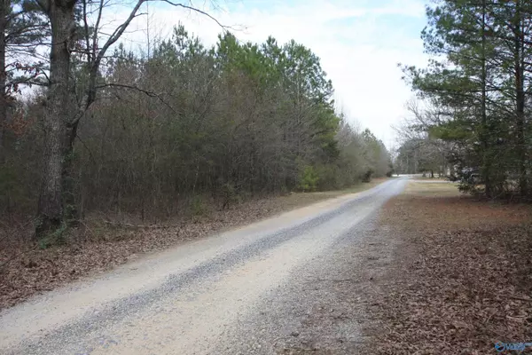 Centre, AL 35960,9.06 ac Old Highway 411