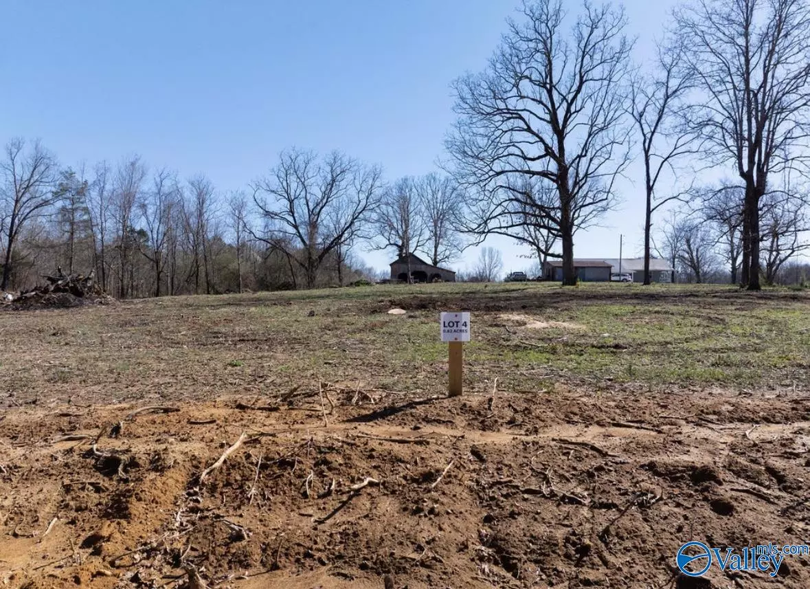 Scottsboro, AL 35768,Lot 4 County Road 825