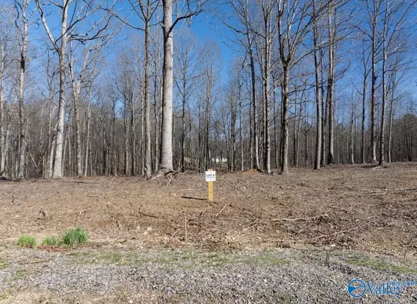 Scottsboro, AL 35768,Lot 6 County Road 825