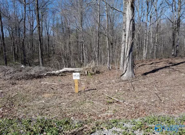 Scottsboro, AL 35768,Lot 10 County Road 825