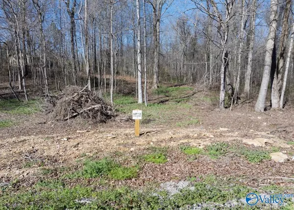 Scottsboro, AL 35768,Lot 11&12 County Road 825