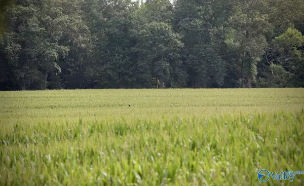 Aragon, GA 30104,1901 Taylorsville Road