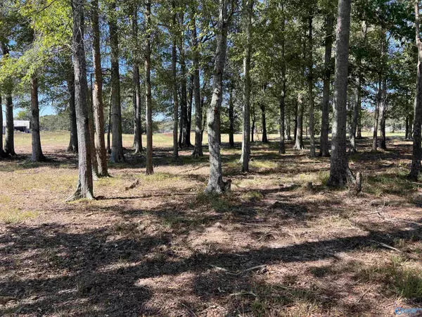 Elkmont, AL 35620,25075 Guthrie Road