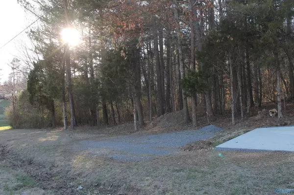 Lot 8 Grand Avenue, Fort Payne, AL 35967