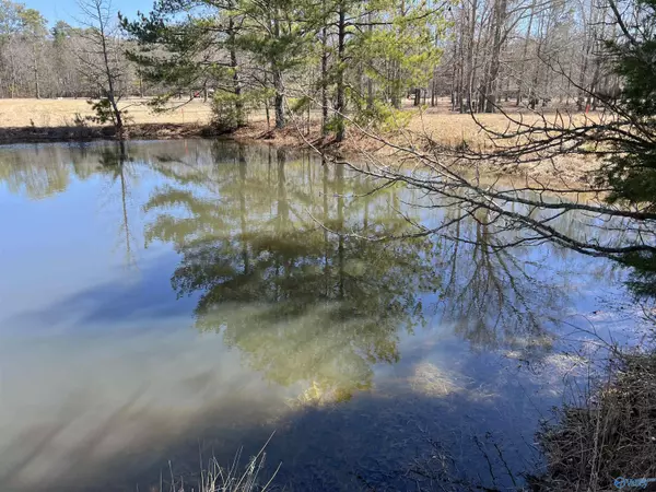 Elkmont, AL 35620,11 Sandlin Road