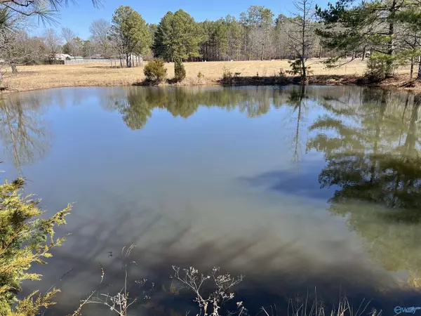 Elkmont, AL 35620,11 Sandlin Road