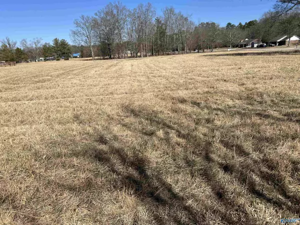 Elkmont, AL 35620,8 Sandlin Road