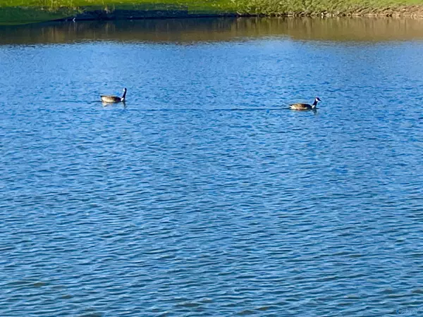 New Market, AL 35761,117 Sidney Ruth Drive