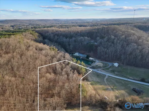 Blountsville, AL 35031,LOT 10 Rocky Hollow Road #3