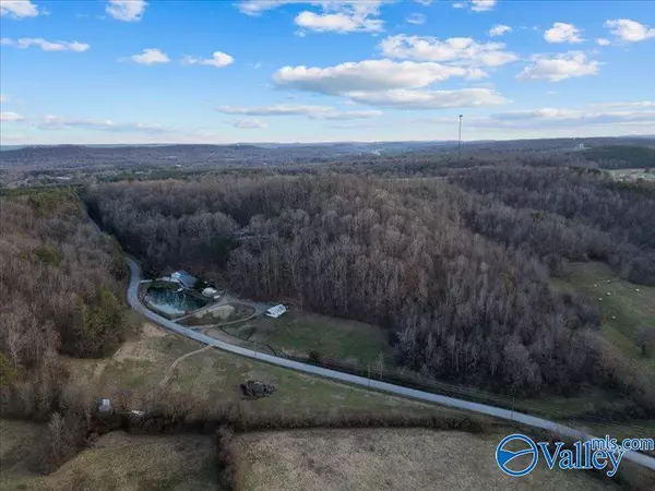 Blountsville, AL 35031,1056 Rocky Hollow Road #10