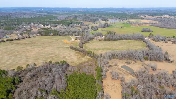 Lincoln, AL 35096,80.14 acres Brooks Lake Road