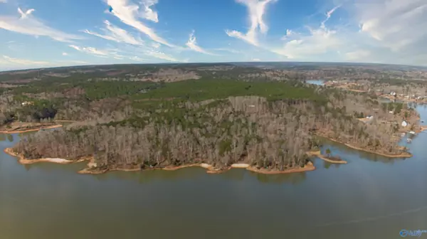 Double Springs, AL 35553,41 acres Big Bear Branch Road