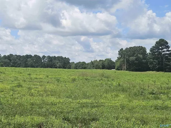 Hazel Green, AL 35750,118 Treva Lane