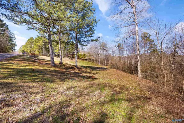Holly Pond, AL 35083,1861 County Road 1728