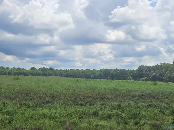 Hazel Green, AL 35750,114 Treva Lane