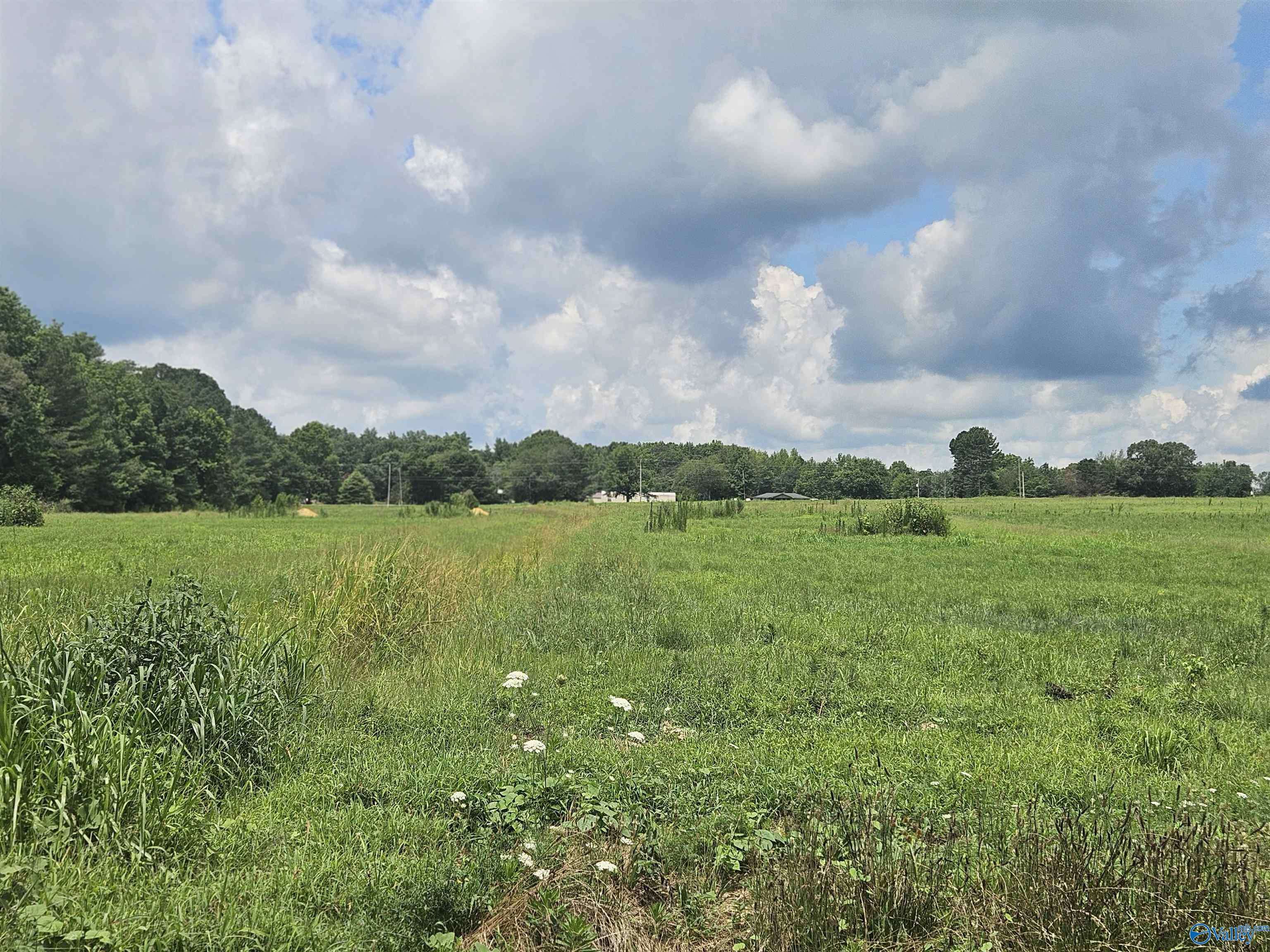 Lot 3 Scott Road, Hazel Green, AL 35750