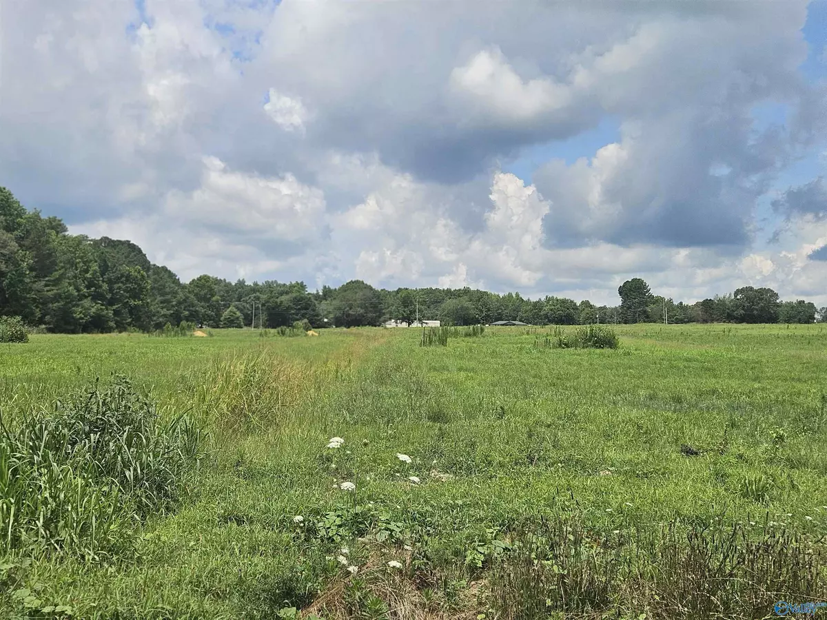 Hazel Green, AL 35750,Lot 3 Scott Road