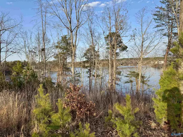 Bremen, AL 35022,Lot 4 County Road 51
