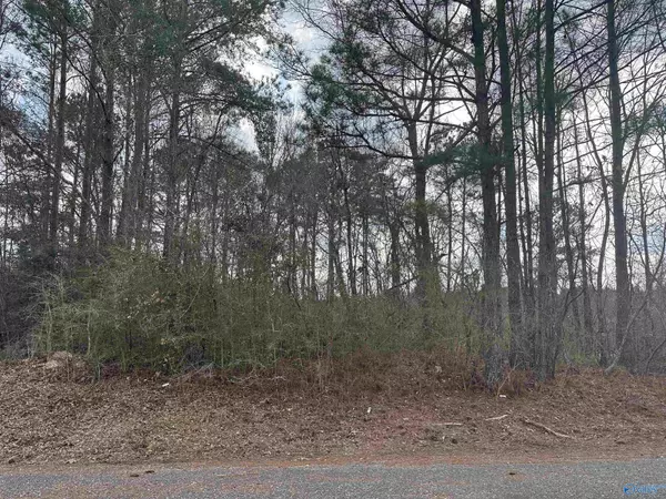 Gadsden, AL 35903,Lot 9 Quinn Drive