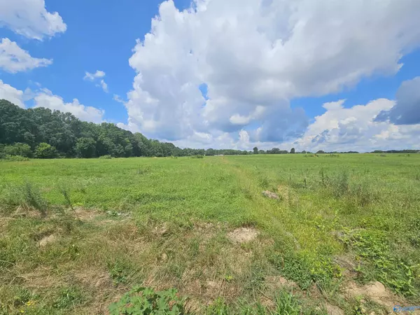 Hazel Green, AL 35750,2642 Elkwood Section Road