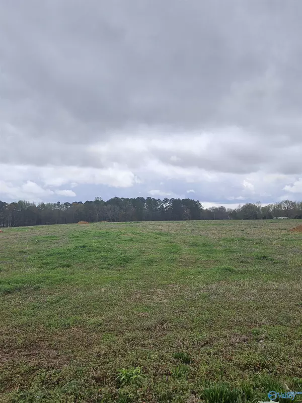 Hazel Green, AL 35750,2642 Elkwood Section Road