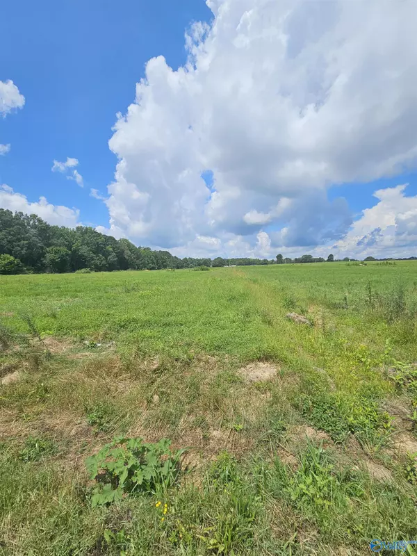 Hazel Green, AL 35750,2642 Elkwood Section Road