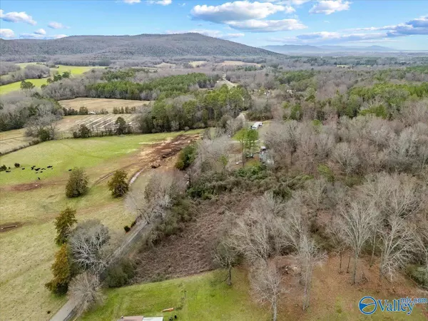 Hollywood, AL 35752,4 Acres County Road 42