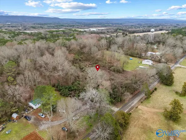 Hollywood, AL 35752,4 Acres County Road 42