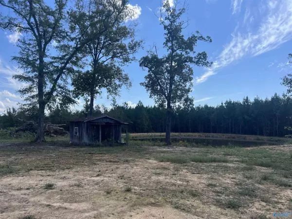 Leighton, AL 35646,140 +/- acres Highway 157