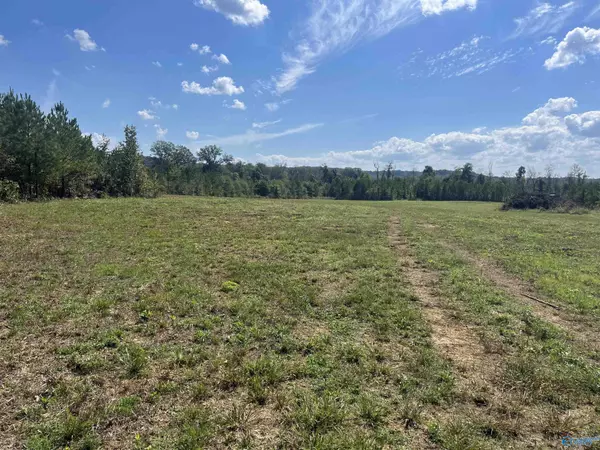 Leighton, AL 35646,140 +/- acres Highway 157