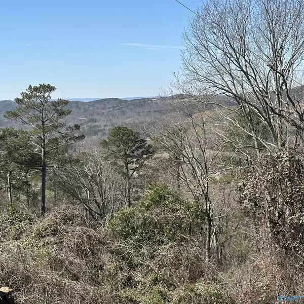 43 acres Scenic Drive, Gadsden, AL 35904