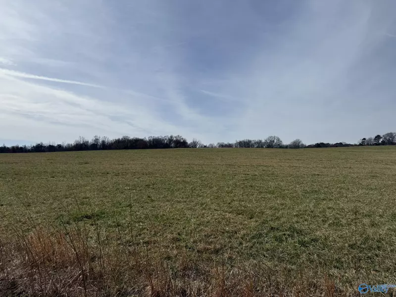40 ac County Road 131, Bryant, AL 35958