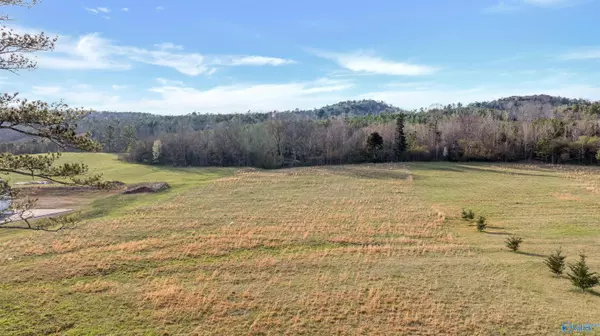 Collinsville, AL 35971,5 US Hwy 11