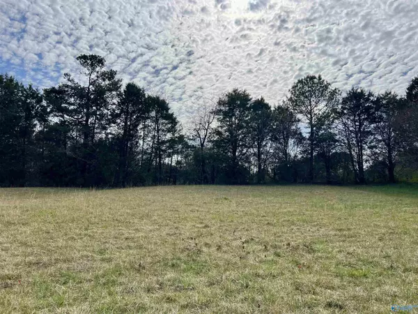 Lot 3 County Road 726, Gaylesville, AL 35973