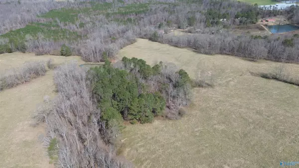 Altoona, AL 35952,1404 Burton Loop Road