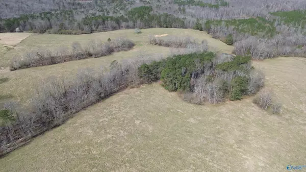 Altoona, AL 35952,1404 Burton Loop Road