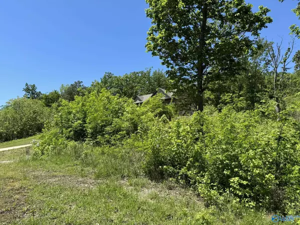 Scottsboro, AL 35769,1892 Lookout Mountain Drive